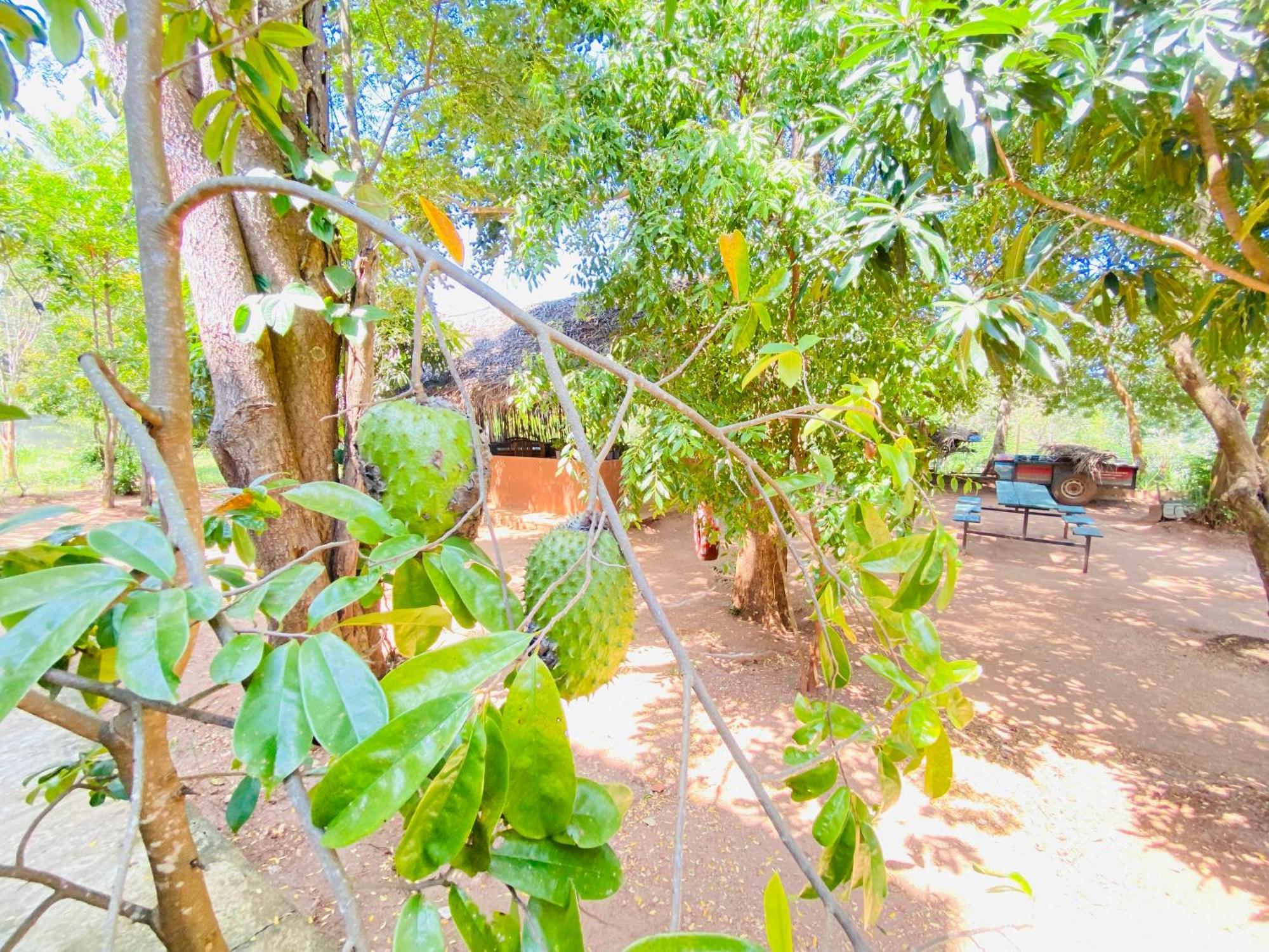 Ima Villa Sigirîya Extérieur photo