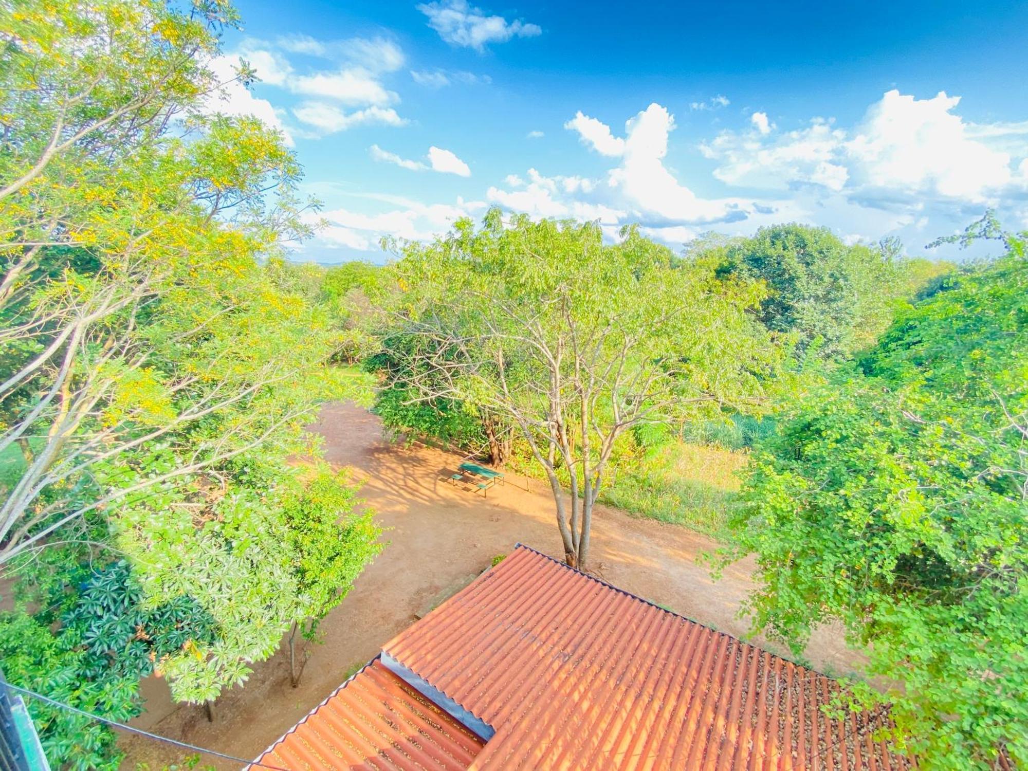 Ima Villa Sigirîya Extérieur photo