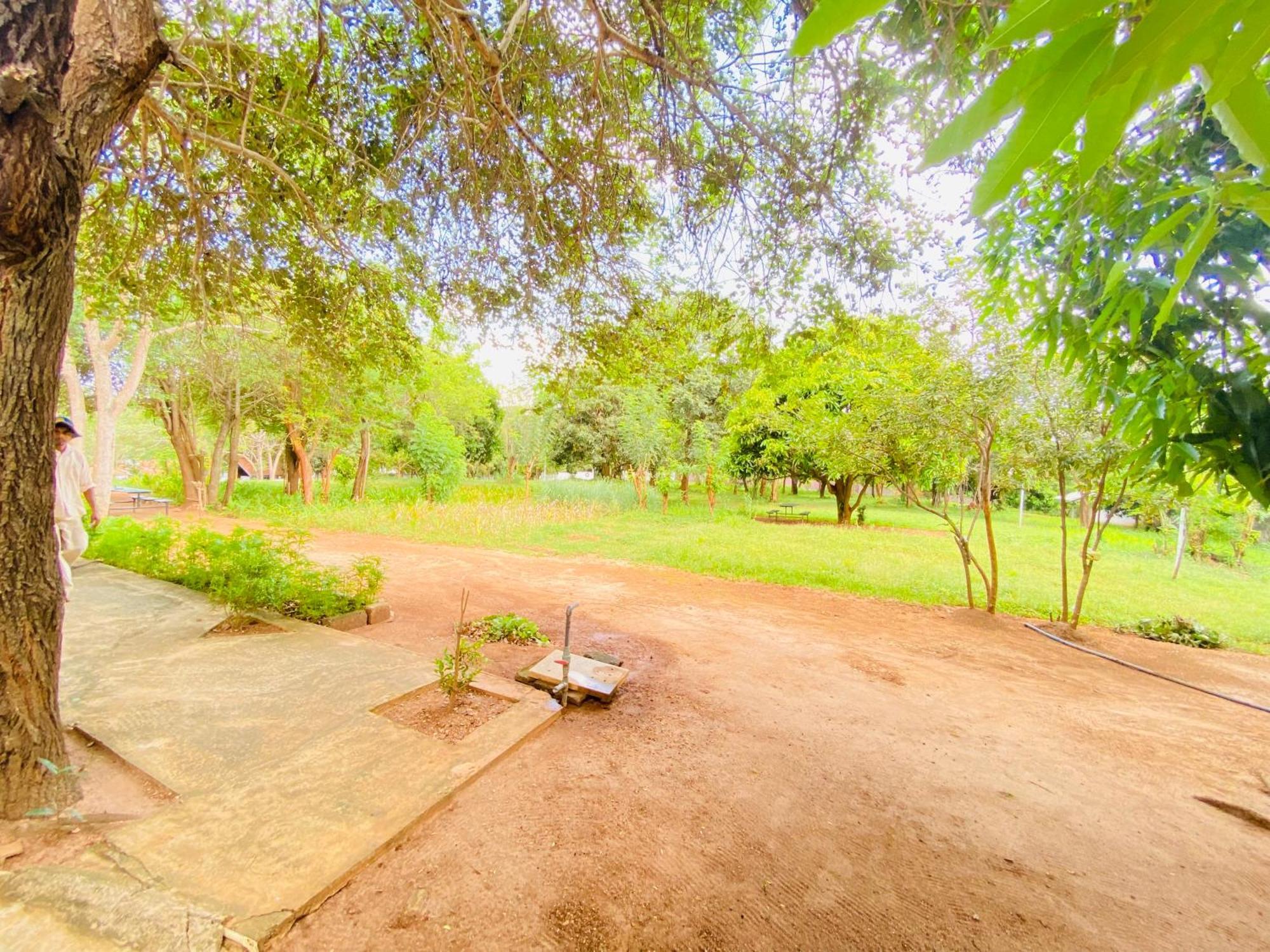 Ima Villa Sigirîya Extérieur photo