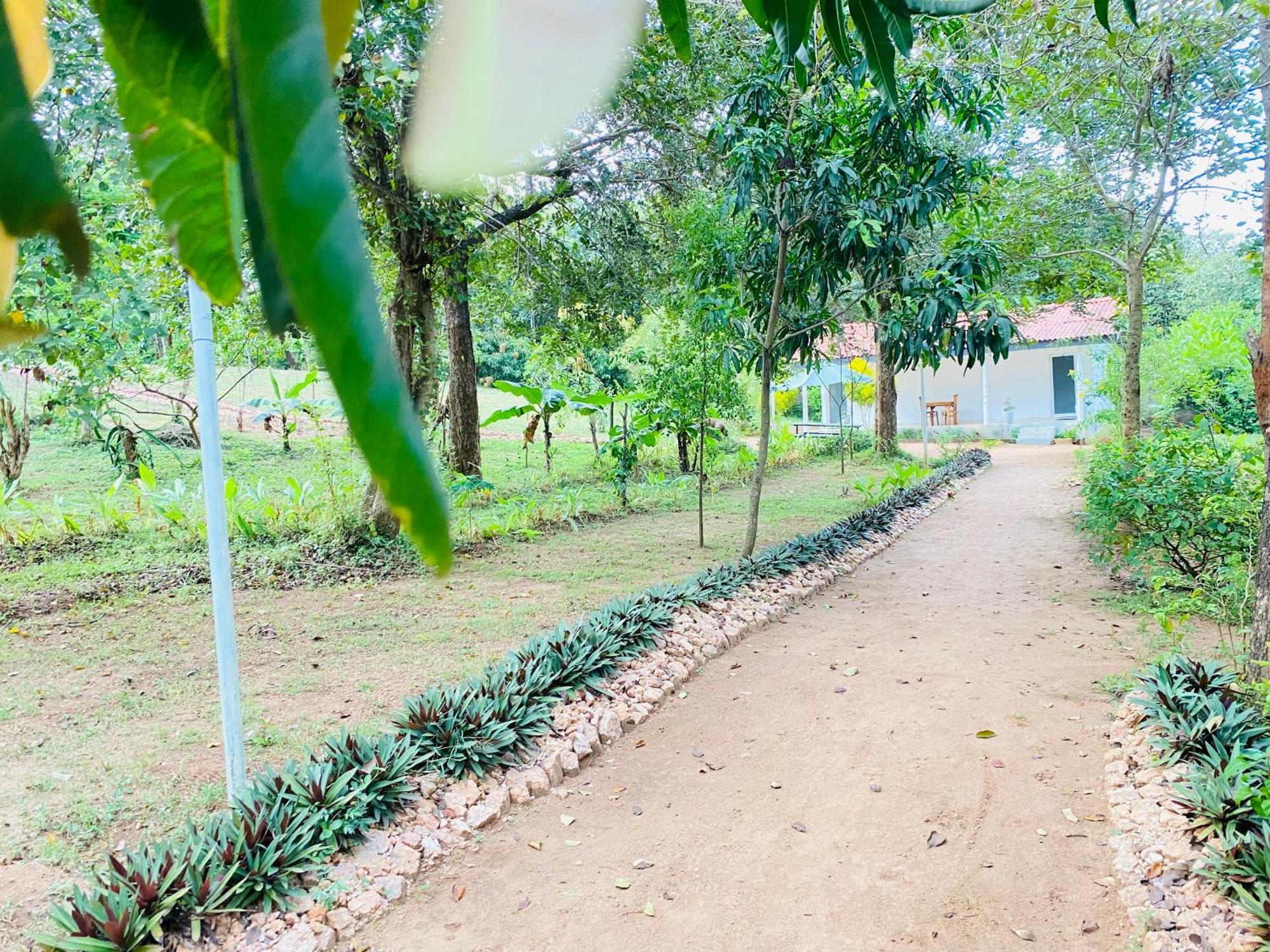 Ima Villa Sigirîya Extérieur photo